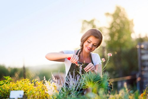 Professional gardener trimming a hedge with electric tools