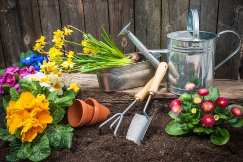 Professional garden maintenance services in Queens Park
