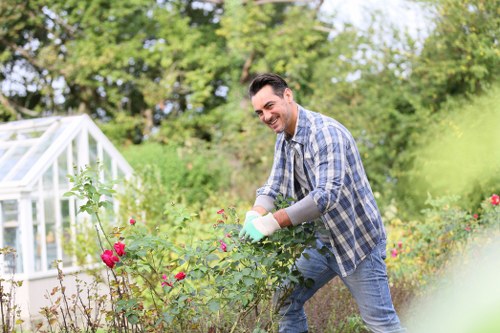 Professional tree removal process with specialized equipment