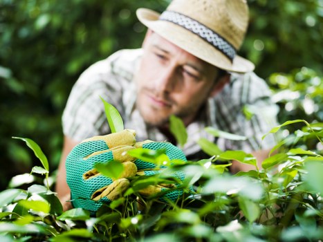 Sustainable gardening practices for a thriving landscape in Queens Park
