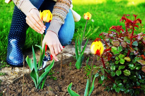 Variety of plants and hardscaping features
