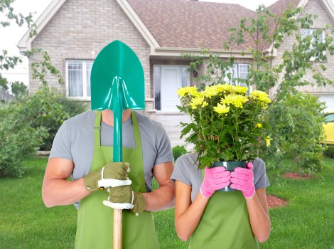 Seasonal planting in a well-maintained Queens Park garden